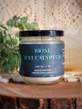 Charger l'image dans la galerie, Bougie en cire de coco et abricot parfumée à la brise d'eucalyptus
